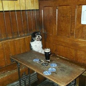 Meet your Posher, Sean